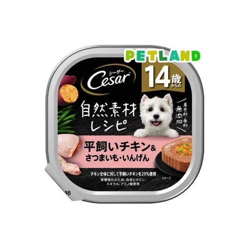 シーザー自然素材　チキン いんげん　８５ｇ