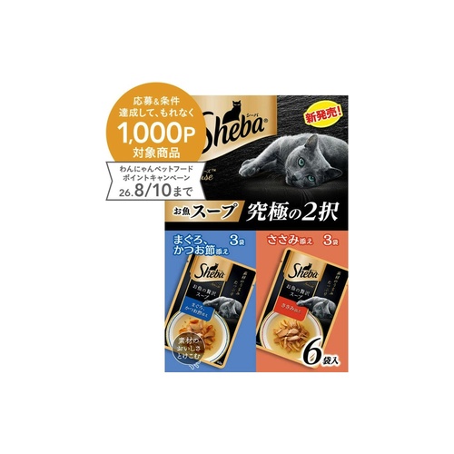 シーバ　アミューズ　お魚スー 魚スープ究極の２択