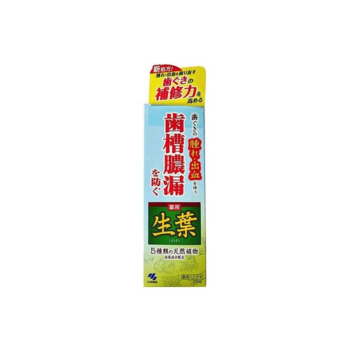 薬用歯みがき生葉 １００ｇ