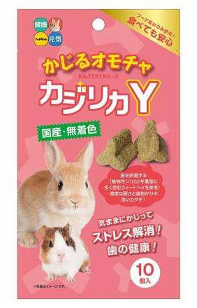 カジリカ　Ｙ １０個入