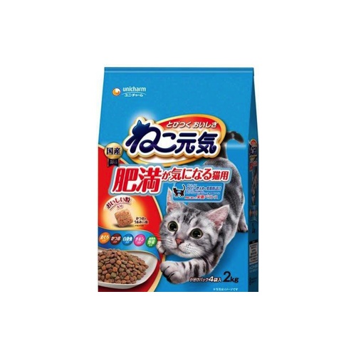 ねこ元気肥満が気になる猫用 ２ｋｇ