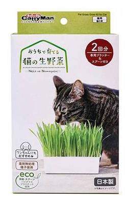 おうちで育てる　猫の生野菜 ２回分